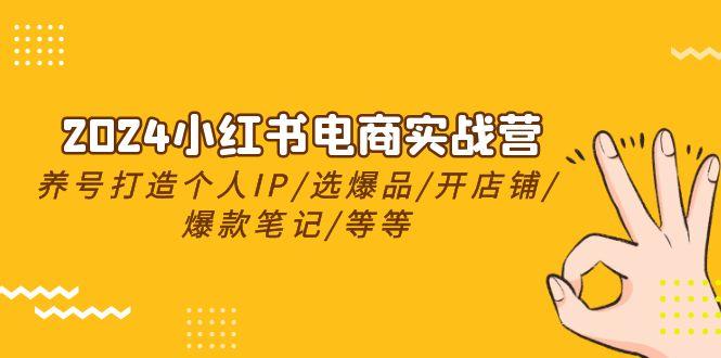 2024小红书电商实战营，养号打造IP/选爆品/开店铺/爆款笔记/等等(24节)